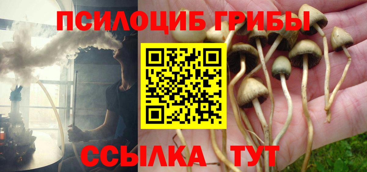 Галлюциногенные грибы MAGIC MUSHROOMS Елизово