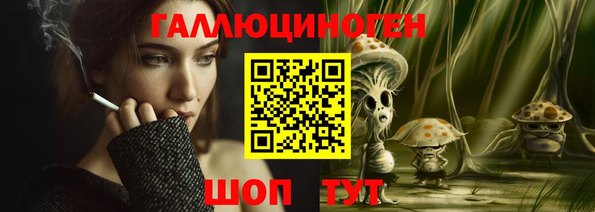 Елизово  Галлюциногенные грибы ЛСД  Галлюциногенные грибы Psilocybe  Вход с VPN 